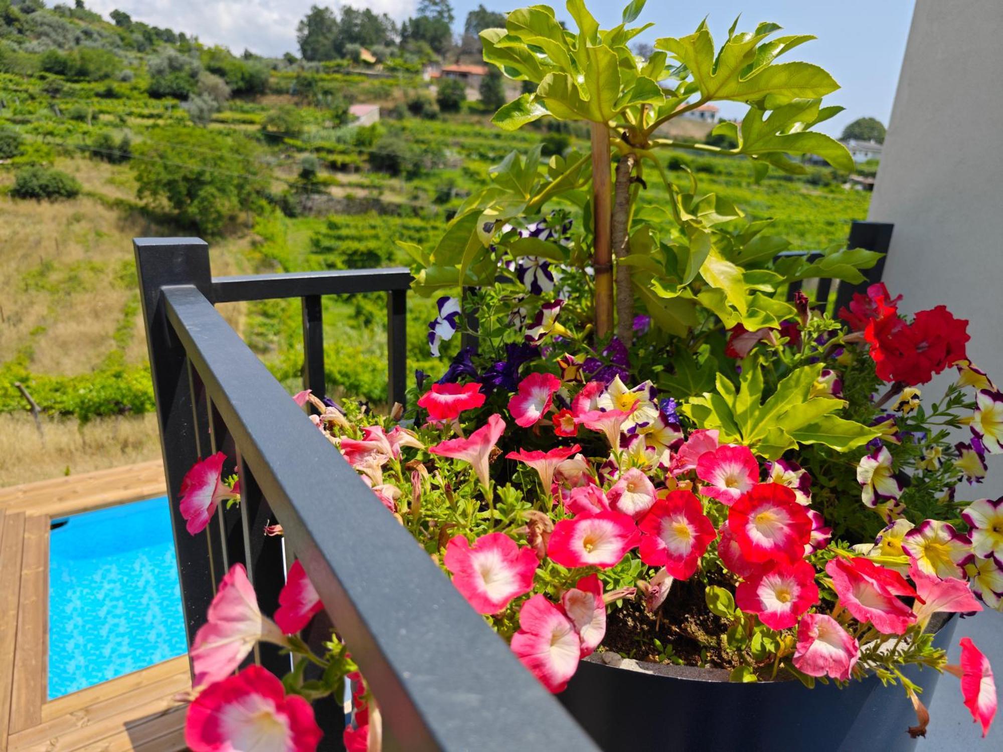 Santa Cruz do Douro Casa Da Milinha - Villa With A Pool Near Rio Douro מראה חיצוני תמונה